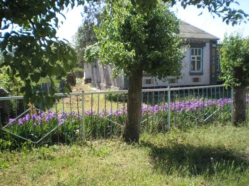 Будинок, Пичугине: 15 соток, піч, погріб - фото 1