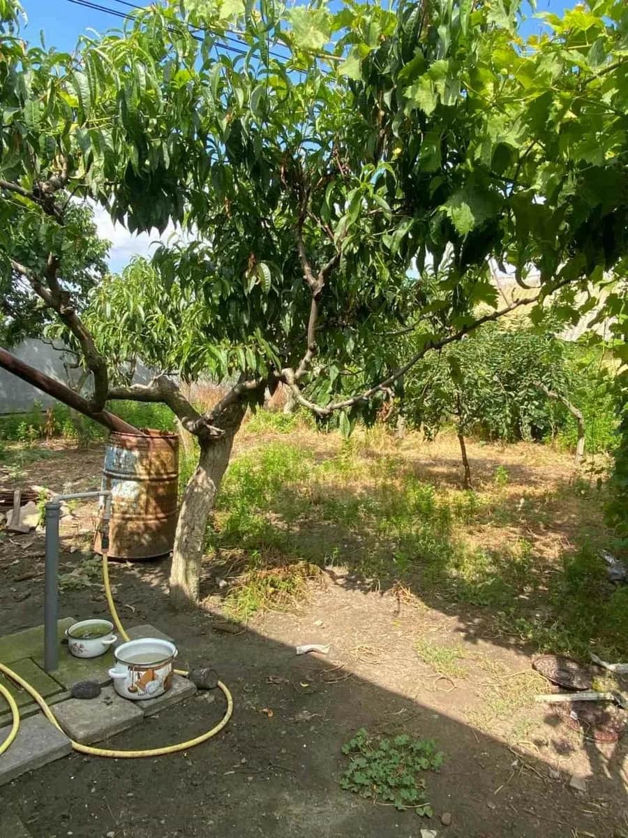 Будинок, Білгород-Дністровський: вид на лиман, баня, гараж - фото 2