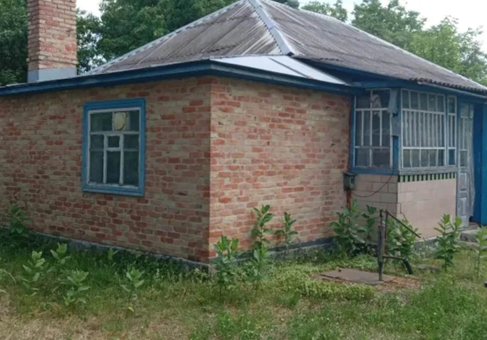 Будинок, Яснозір'я: ділянка 62 сотки, свердловина і криниця - фото 1