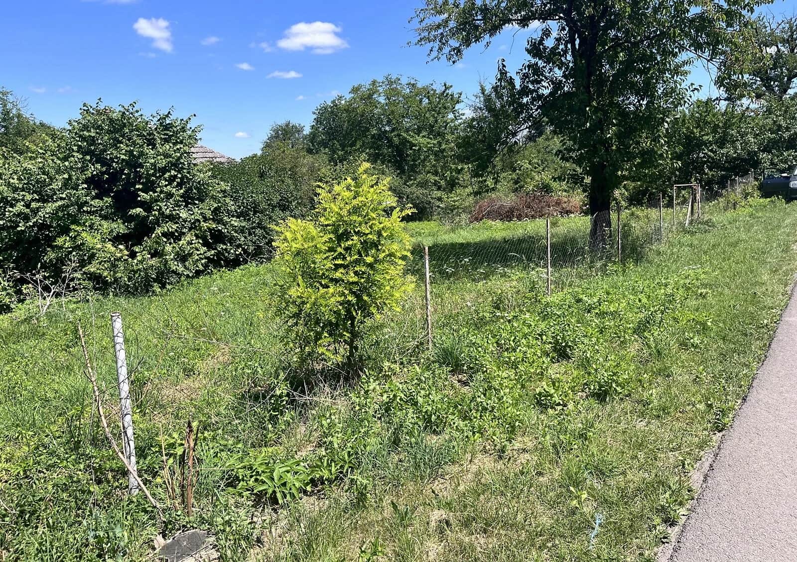 Ділянка 30,5 соток, Великі Гаї: під житлову забудову, сад, торг можливий - фото 1