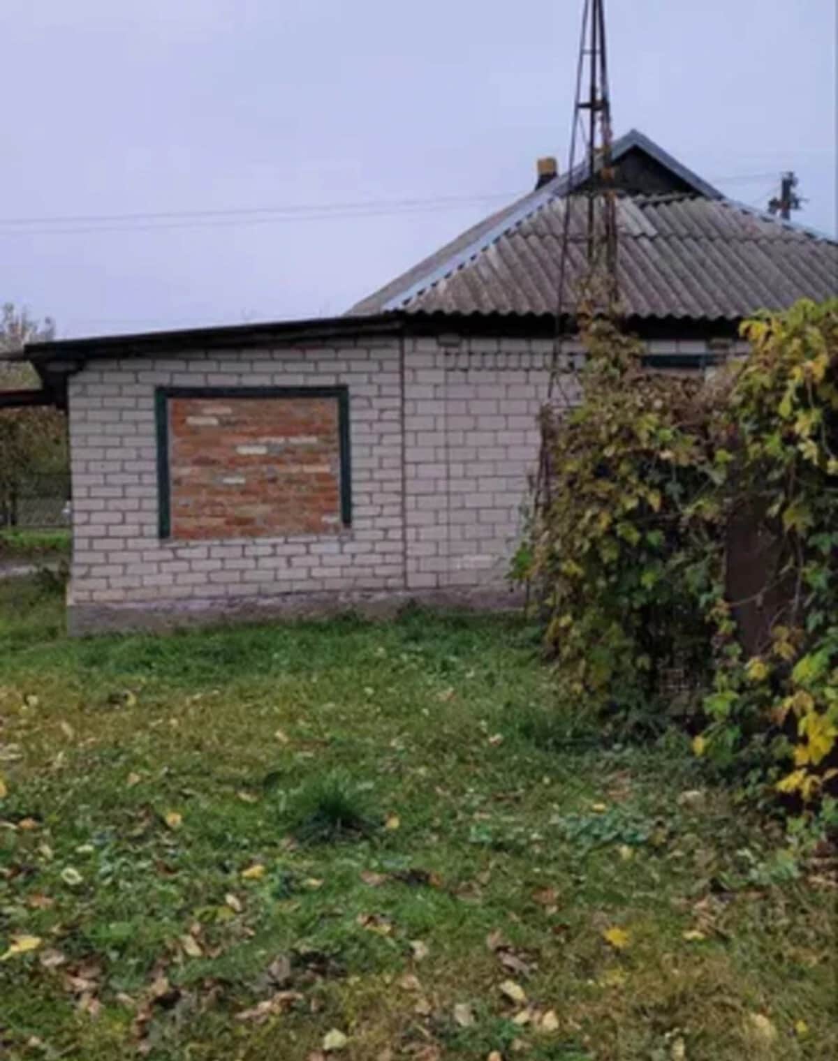 Будинок, Кишеньки: веранда, гараж, ділянка 40 соток - фото 2