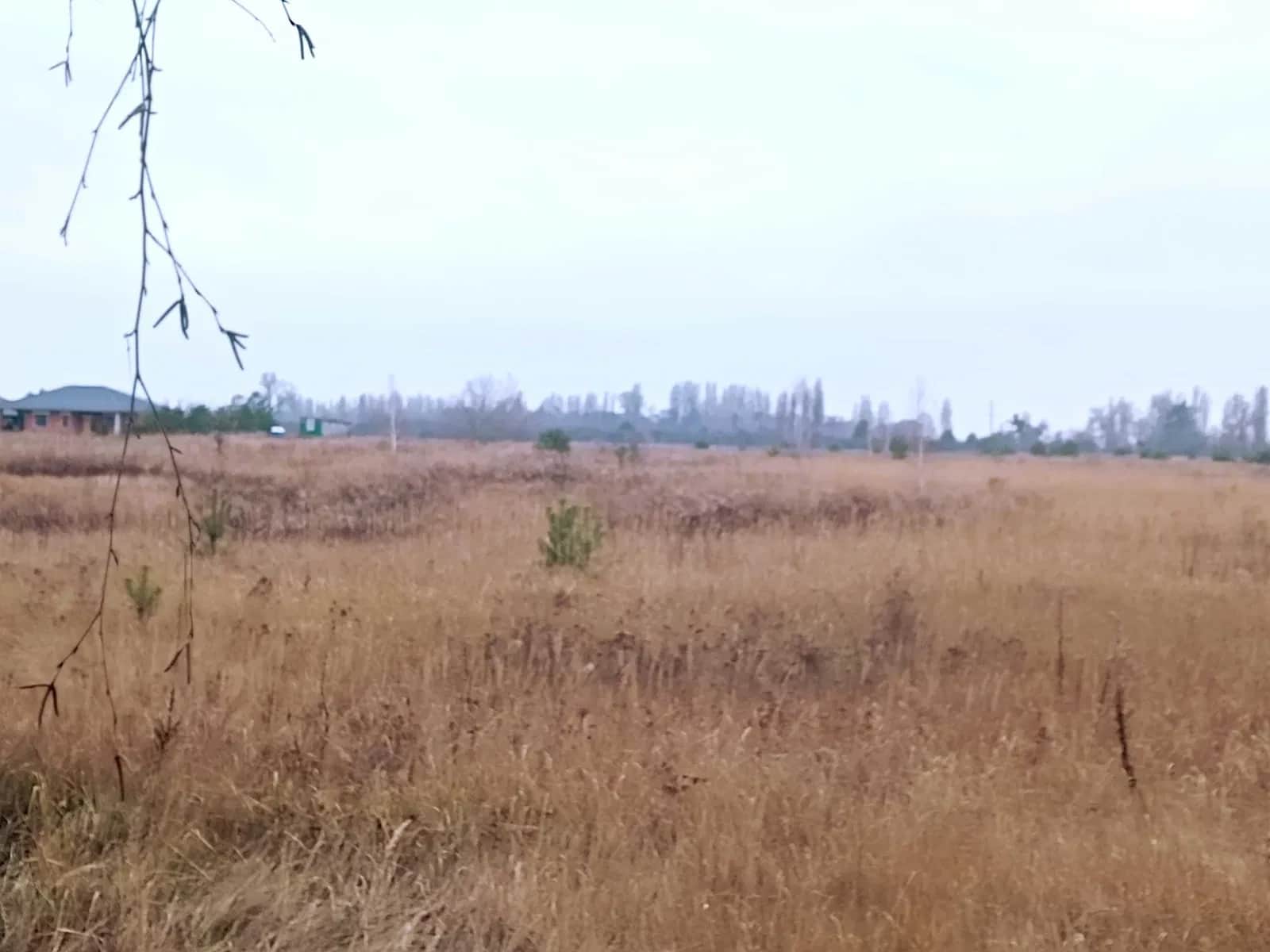 Ділянка 424 соток, Петропавлівське: до 15 га, електрика і газ - фото 1