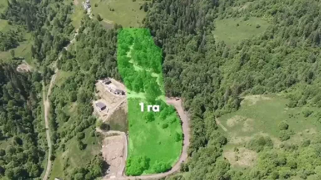Ділянка 120 соток, Славське: гора Тростян, готовий проєкт - фото 1