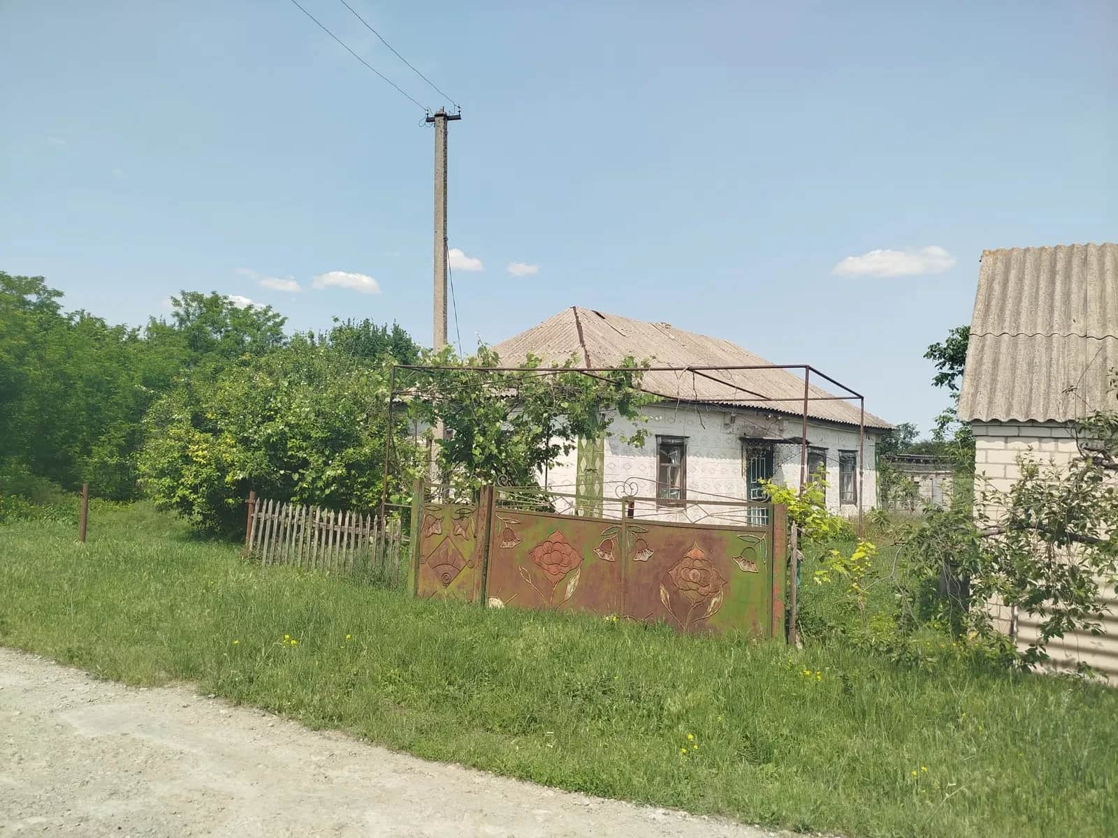 Ділянка 50 соток, Петриківка: будинок, свердловина, молодий сад - фото 1