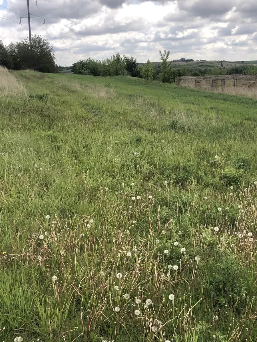 Ділянка 20 соток, Забороль: газ, світло, асфальтована дорога - фото 1