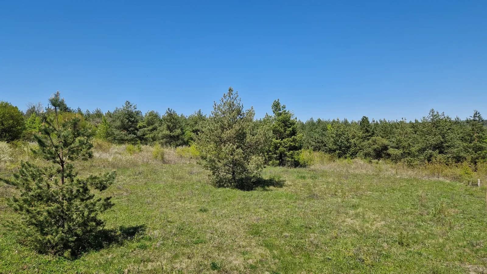 Ділянка 20 соток, Куражин: берег Дністра, електрика, поділ - фото 2