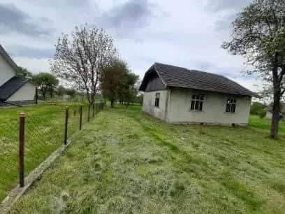 Ділянка 35 соток, Нижні Гаї: деревʼяний будинок, великий сад - фото 2