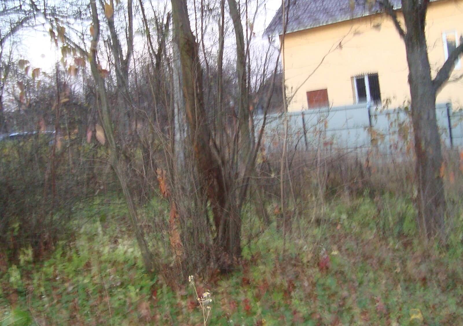 Ділянка 6.5 соток, Роша: під житлову забудову, центральний водопровід, торг - фото 2