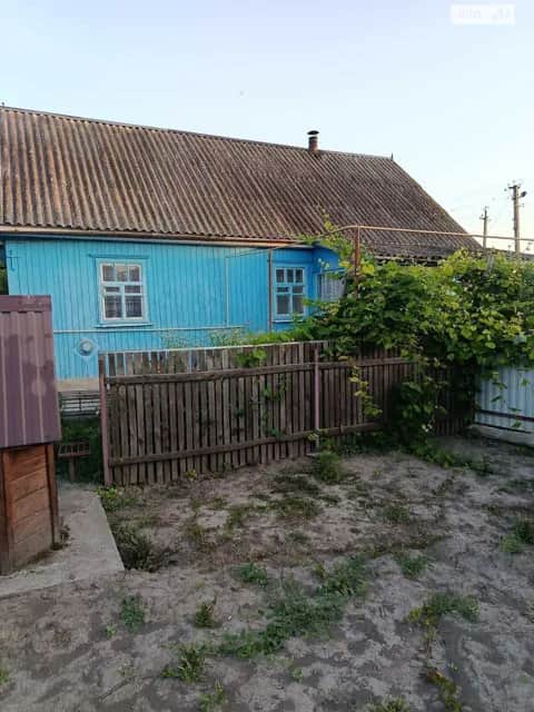 Будинок, Новоселиця (Полонне): цегляні стіни, криниця - фото 2