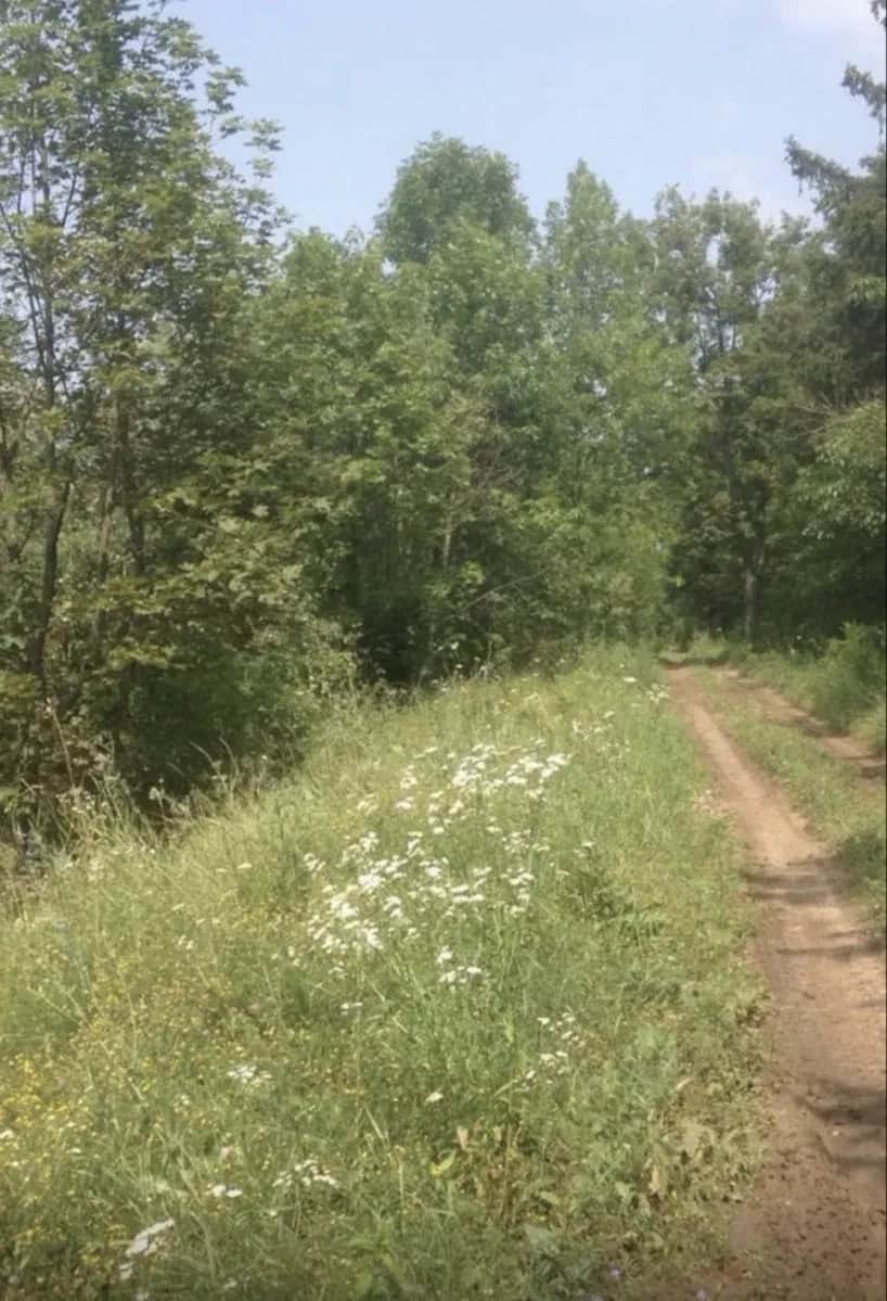 Ділянка 8 400 соток, Покотилівка: під котеджне поселення - фото 1