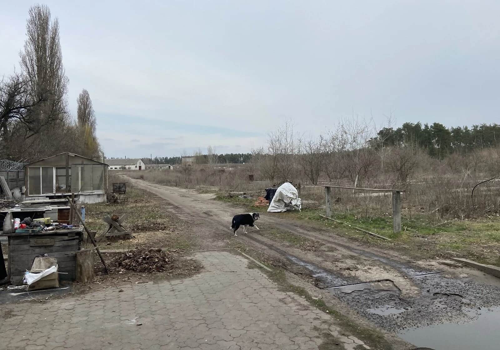 Приміщення, Кедина Гора: ангар, гараж, торг можливий - фото 2