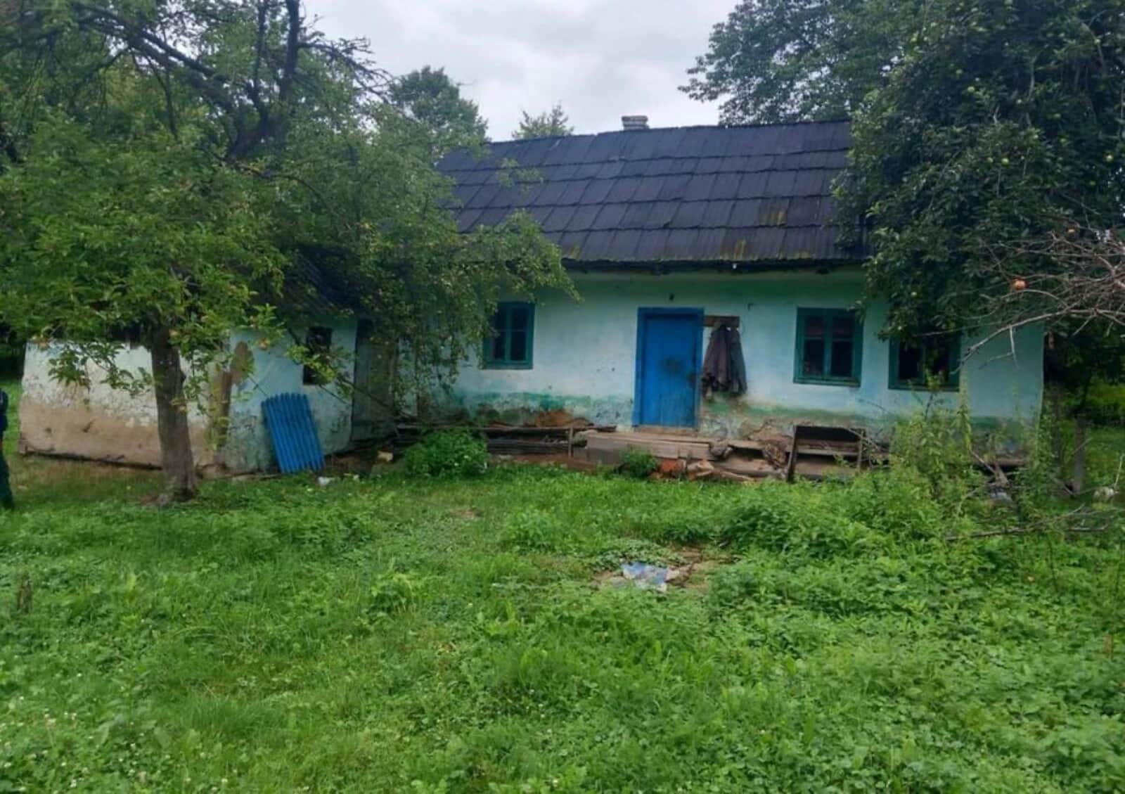 Будинок, Стара Жадова: сад, господарські будівлі - фото 1