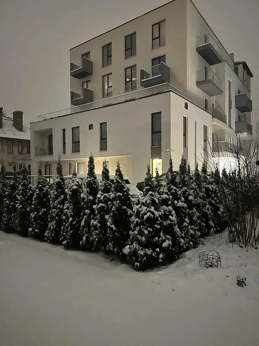 Пентхаус, Сихівський: авторський ремонт, тераса, 6 балконів - фото 1