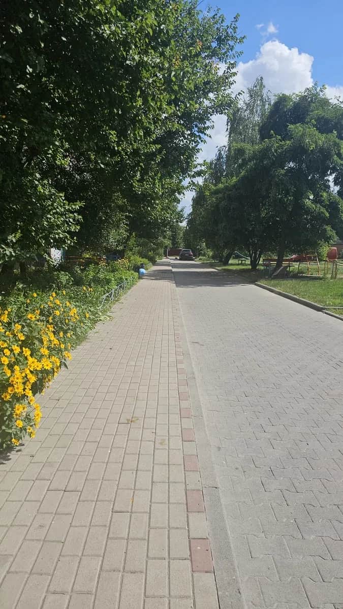 1-кімнатна квартира, Суми: резервне живлення, можна з котом - фото 2