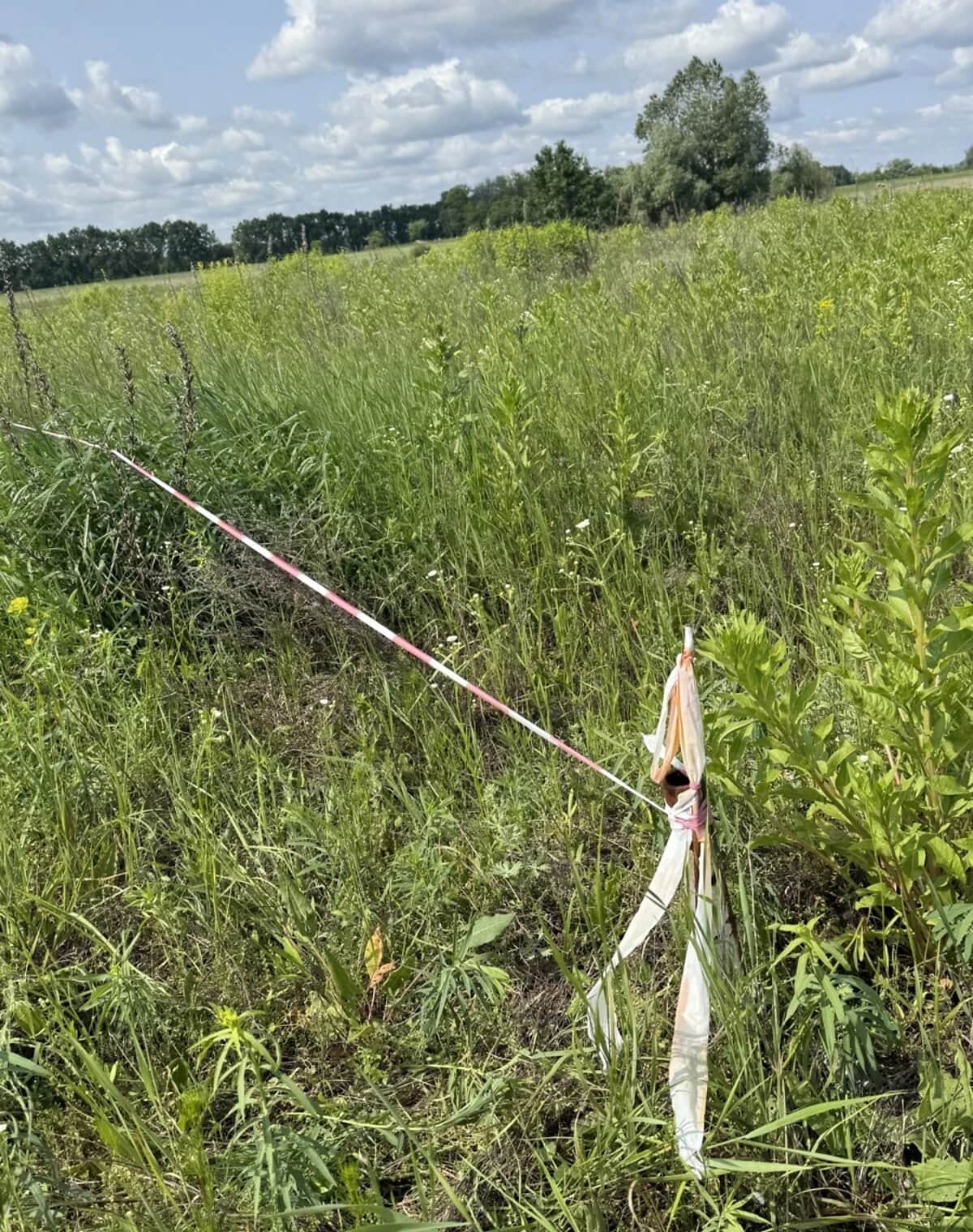 Ділянка 5.63 сотки, Михайлівка-Рубежівка: під житлову забудову, під гараж - фото 2
