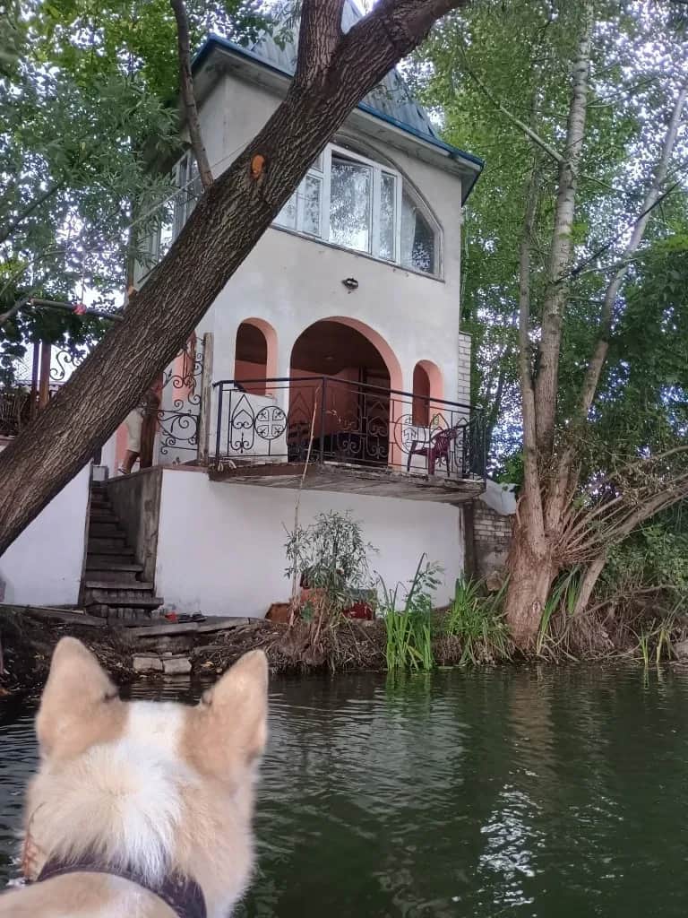 Будинок, Русанівські сади: баня, альтанки з мангалом, центр Києва - фото 1