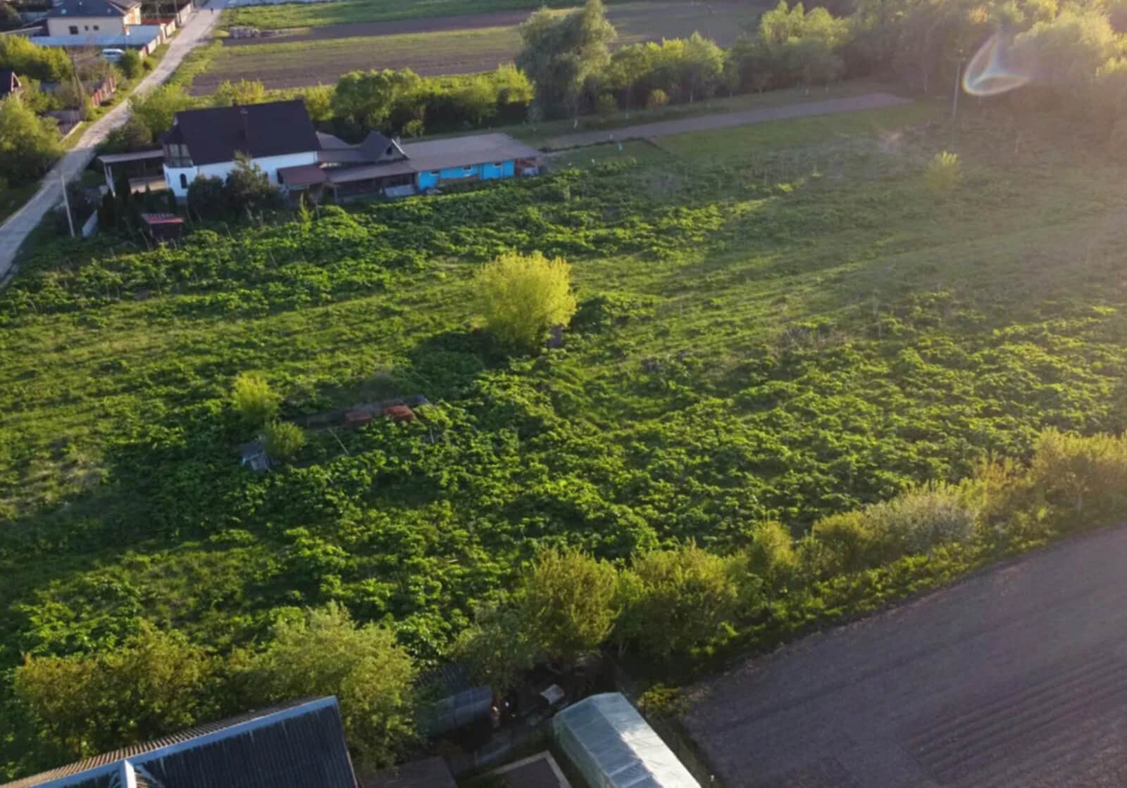 Ділянка 21 сотка, Підлісся: під житлову забудову, з фундаментом - фото 1