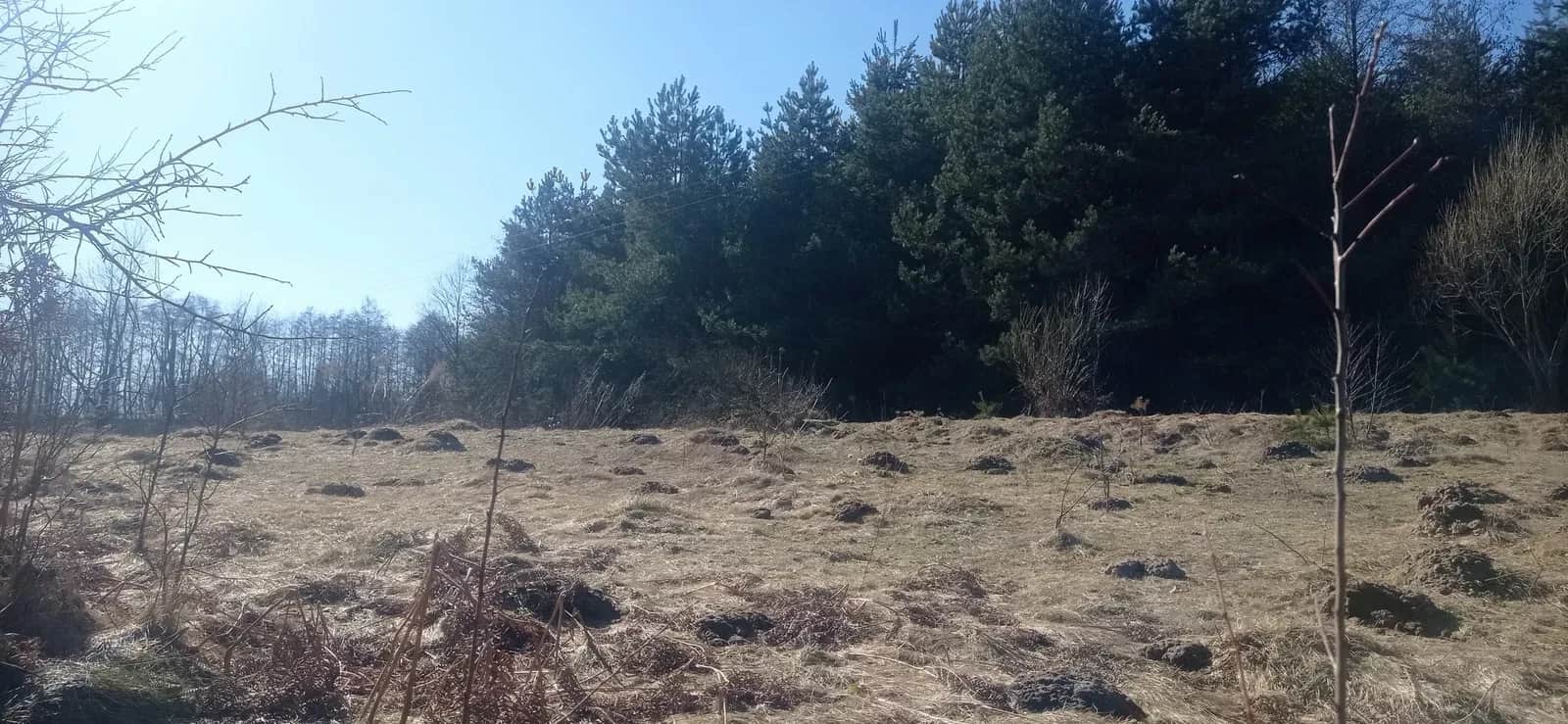 Ділянка 14 соток, Тростянець: під забудову, 30 км до Львова - фото 2