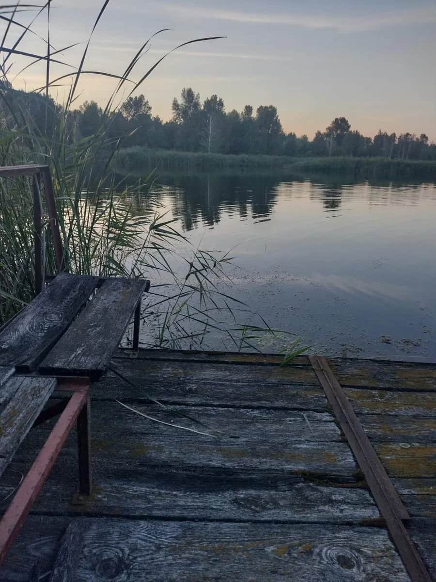 Дача, Лозівок: берег річки Ольшанка, вихід до води, 12 соток - фото 1