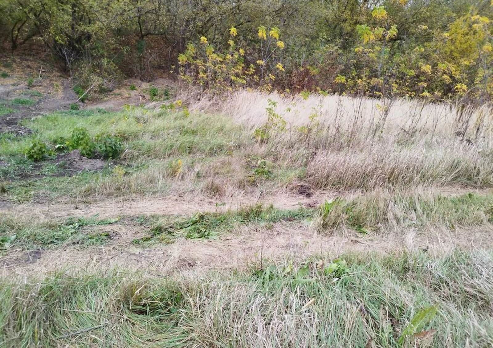 Ділянка 6 соток, Кленовий гай: під житлову забудову, поруч зі школою - фото 2