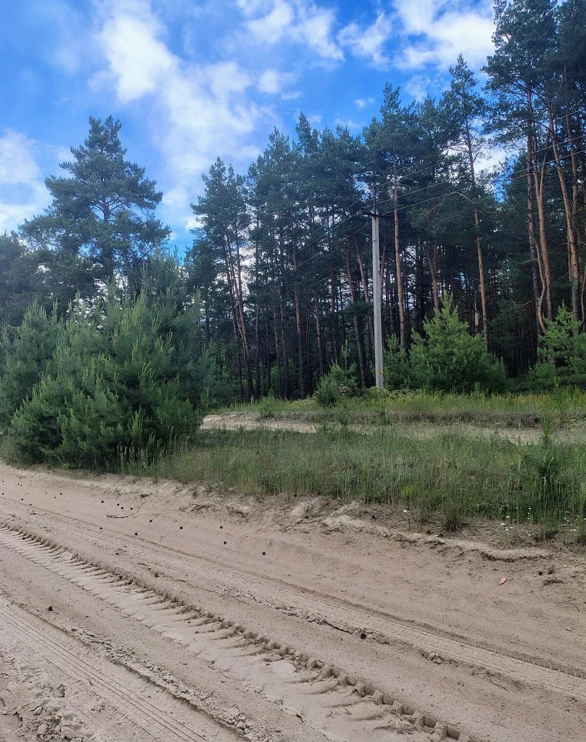 Ділянка 19 соток, Межиріч: під житлову забудову, електрика і газ - фото 1