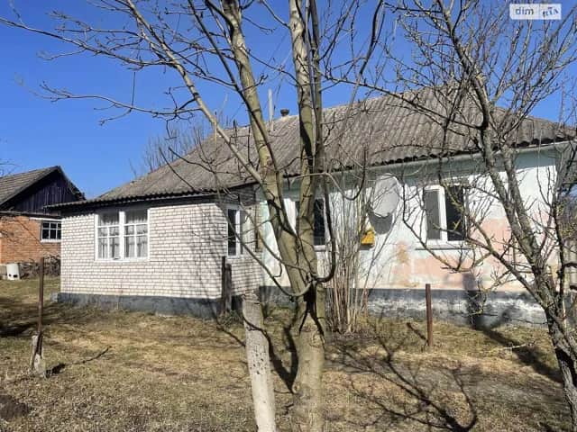 Будинок, Деражня: цегляні стіни, свердловина - фото 2
