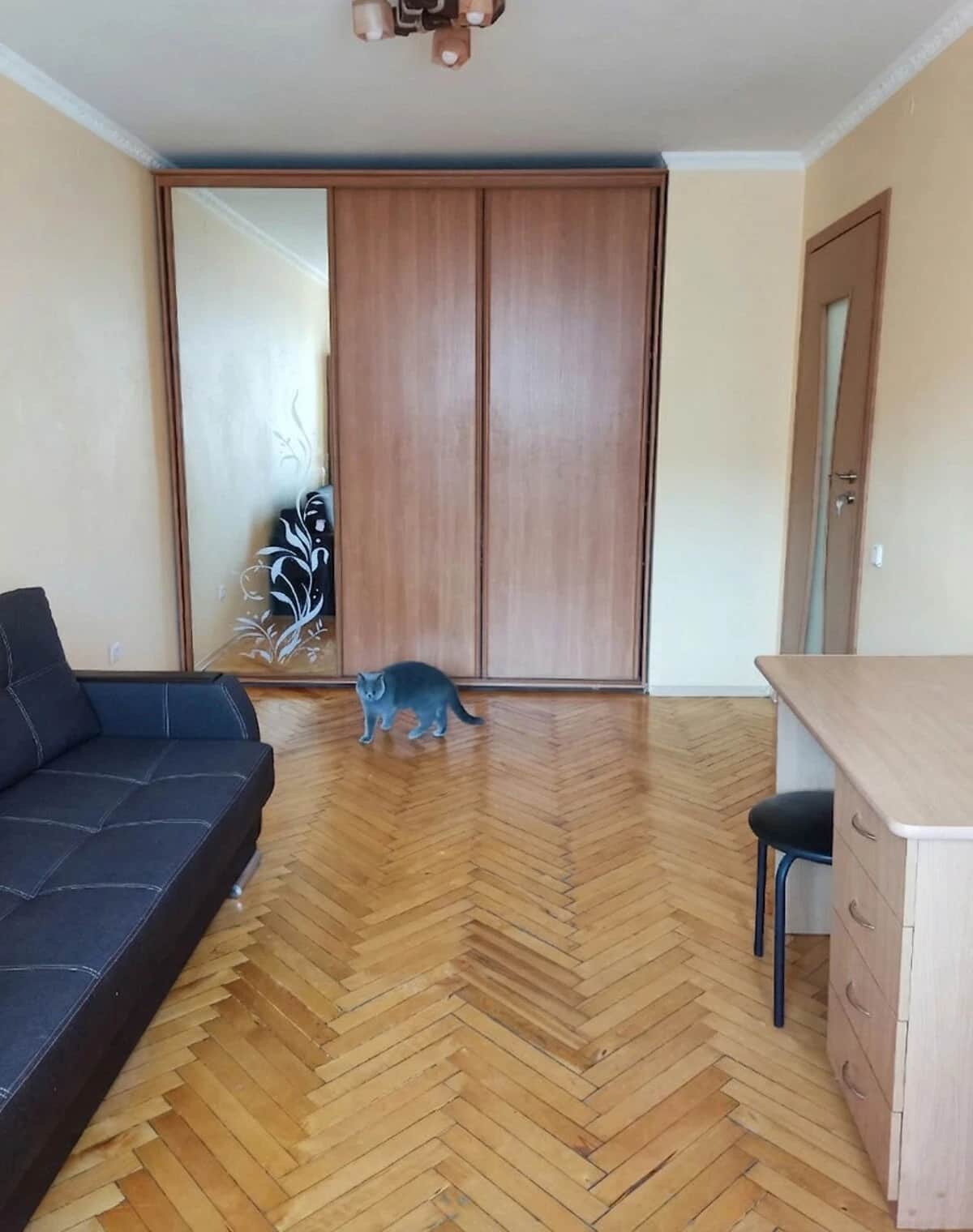 1-кімнатна квартира, Гнідава: євроремонт, торг можливий - фото 2