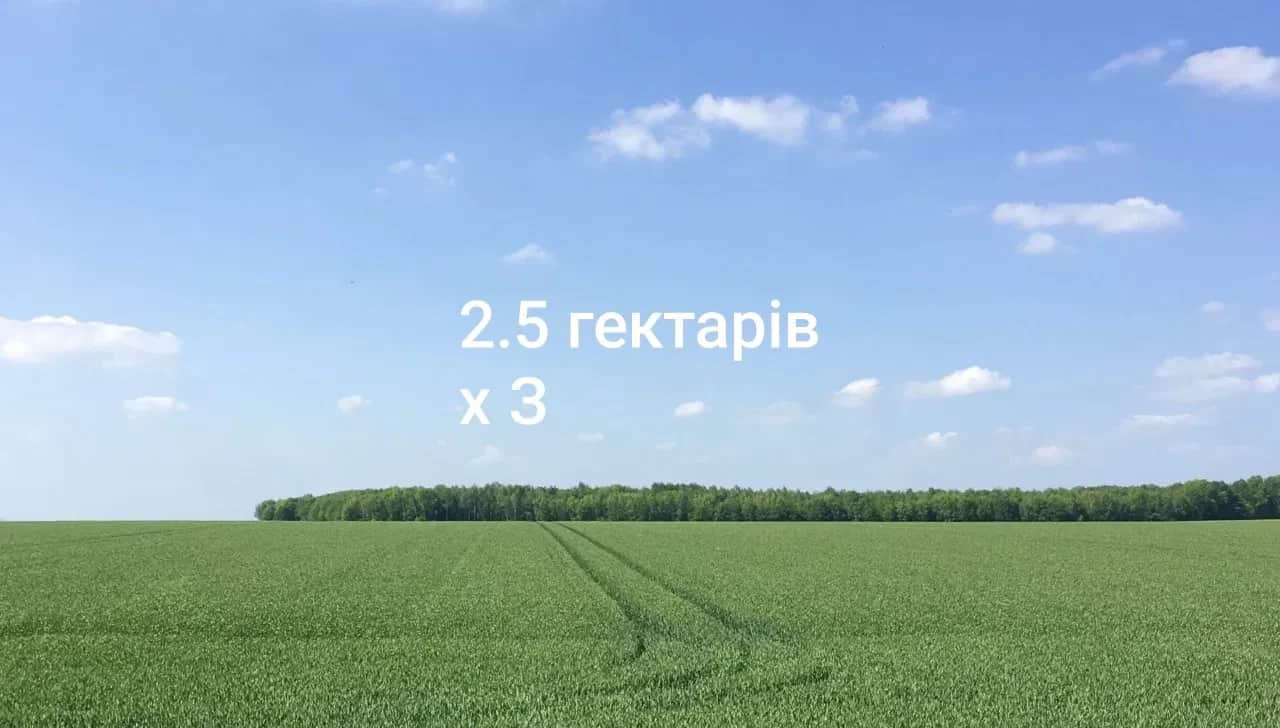 Ділянка 250 соток, Часлівці: електрика, кам’яна дорога - фото 1