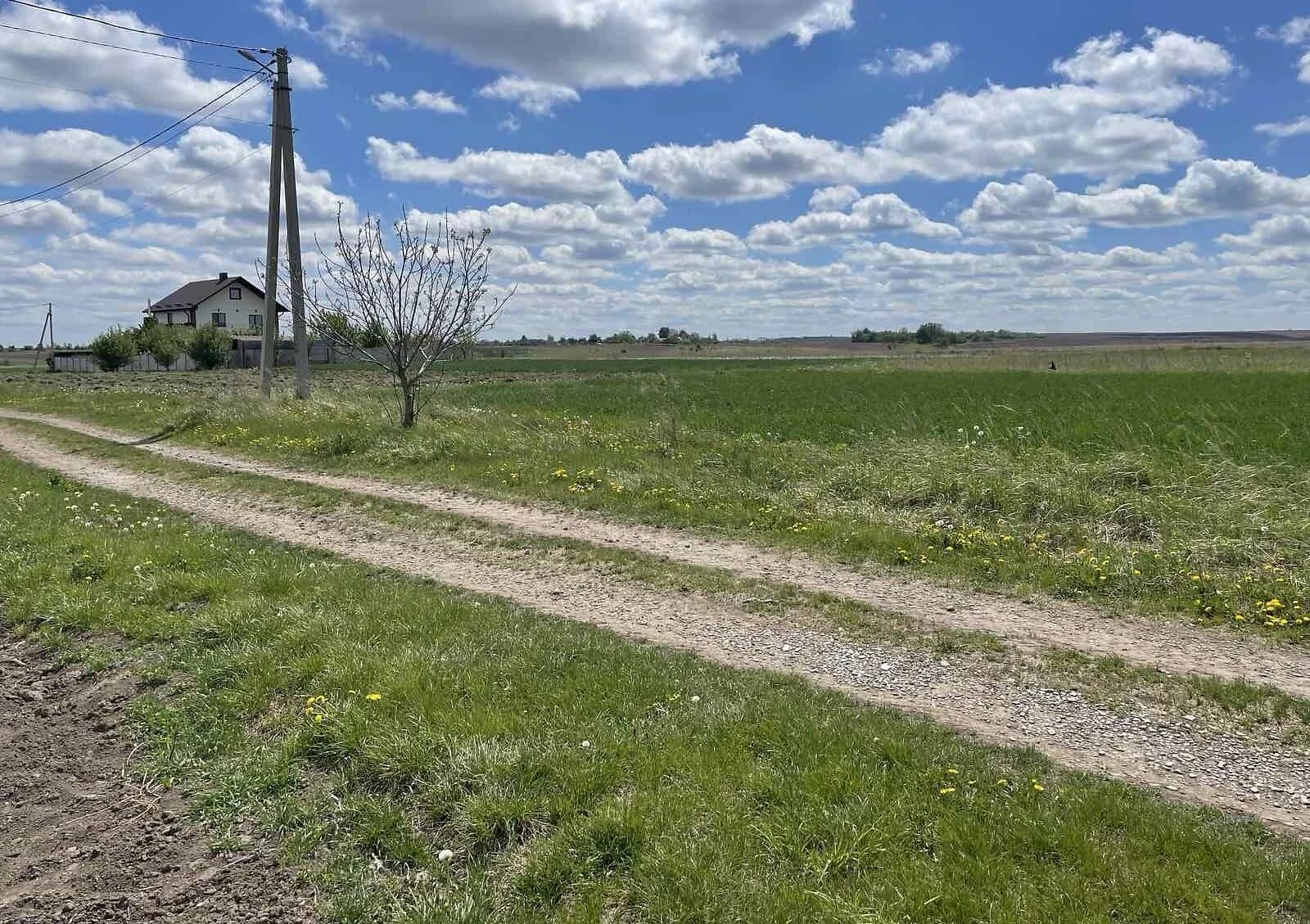 Ділянка 10 соток, Велика Омеляна: під житлову забудову, сад - фото 1