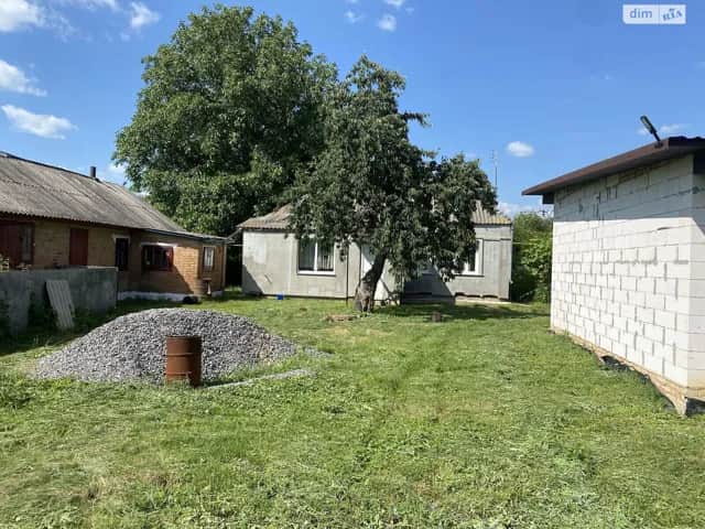 Будинок, Подільське: гараж, центральний водопровід - фото 2