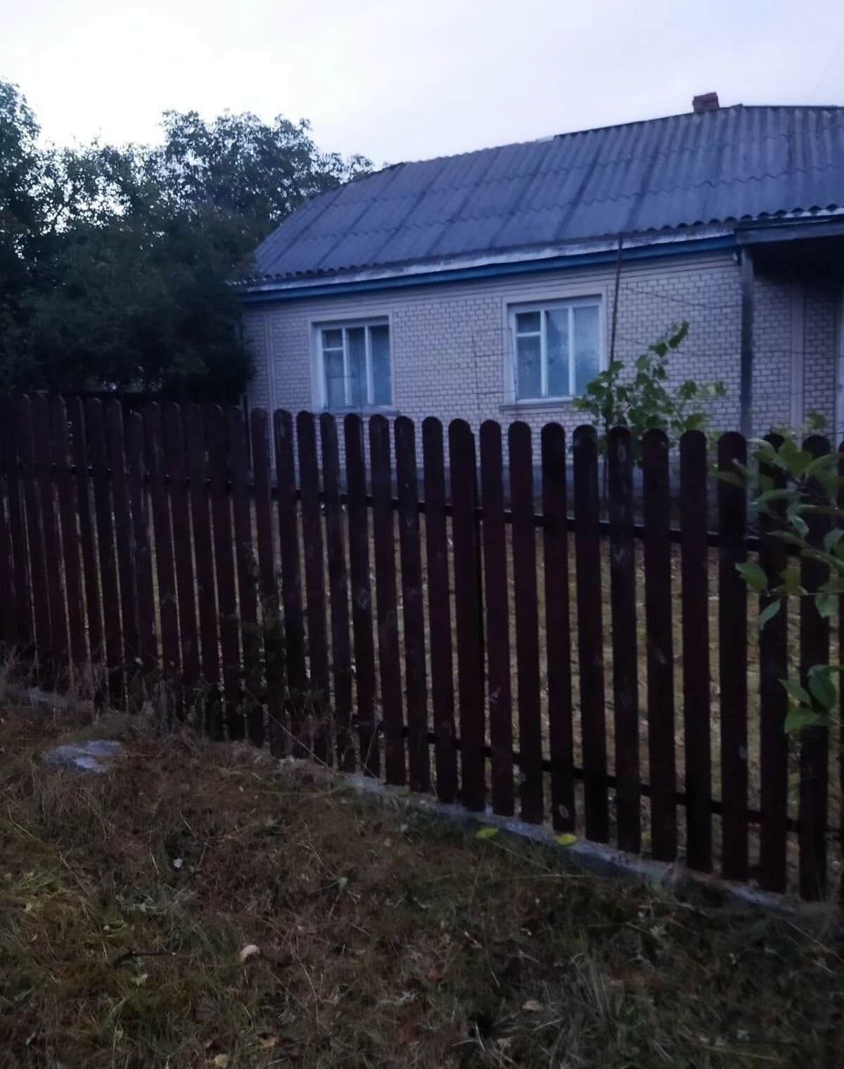 Будинок, Корсунь-Шевченківський: гараж у цокольному поверсі, літня кухня - фото 2