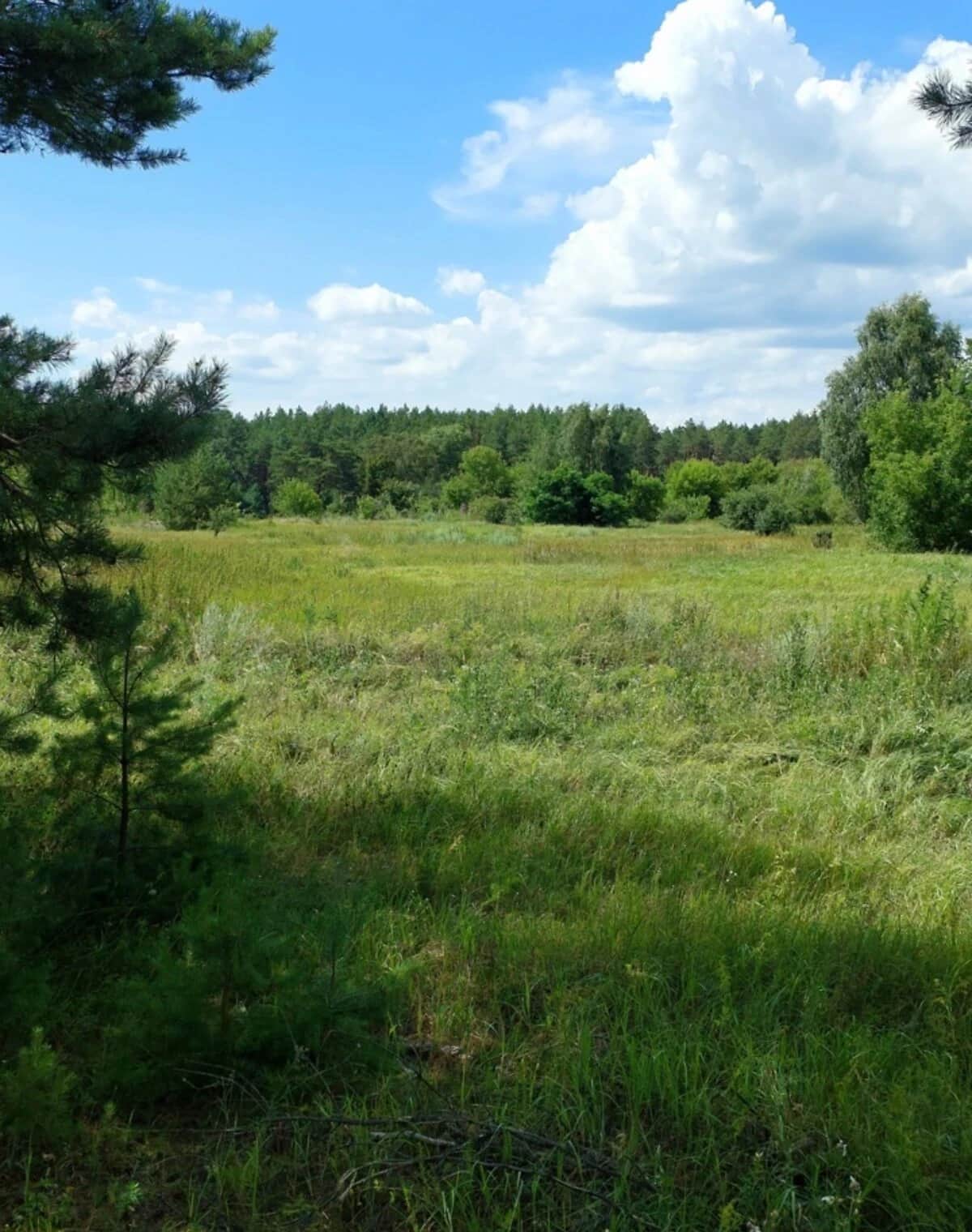Ділянка 6.4185 га, Остер: чорнозем, свердловина - фото 2