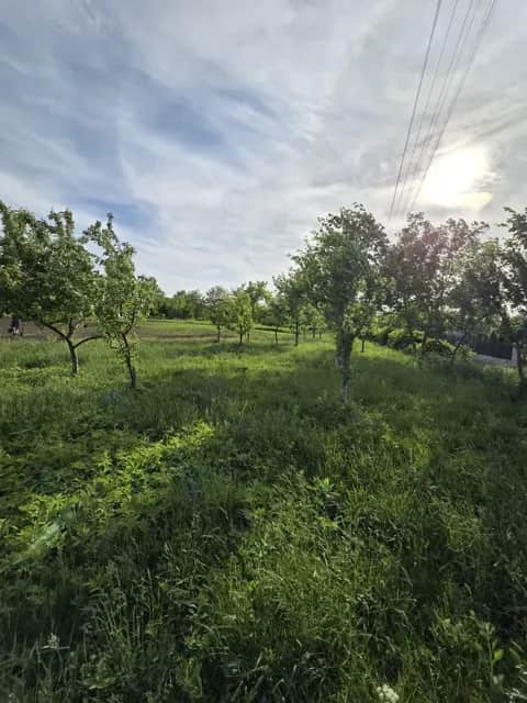 Ділянка 25 соток, Пашківці: під забудову, біля центру села - фото 2