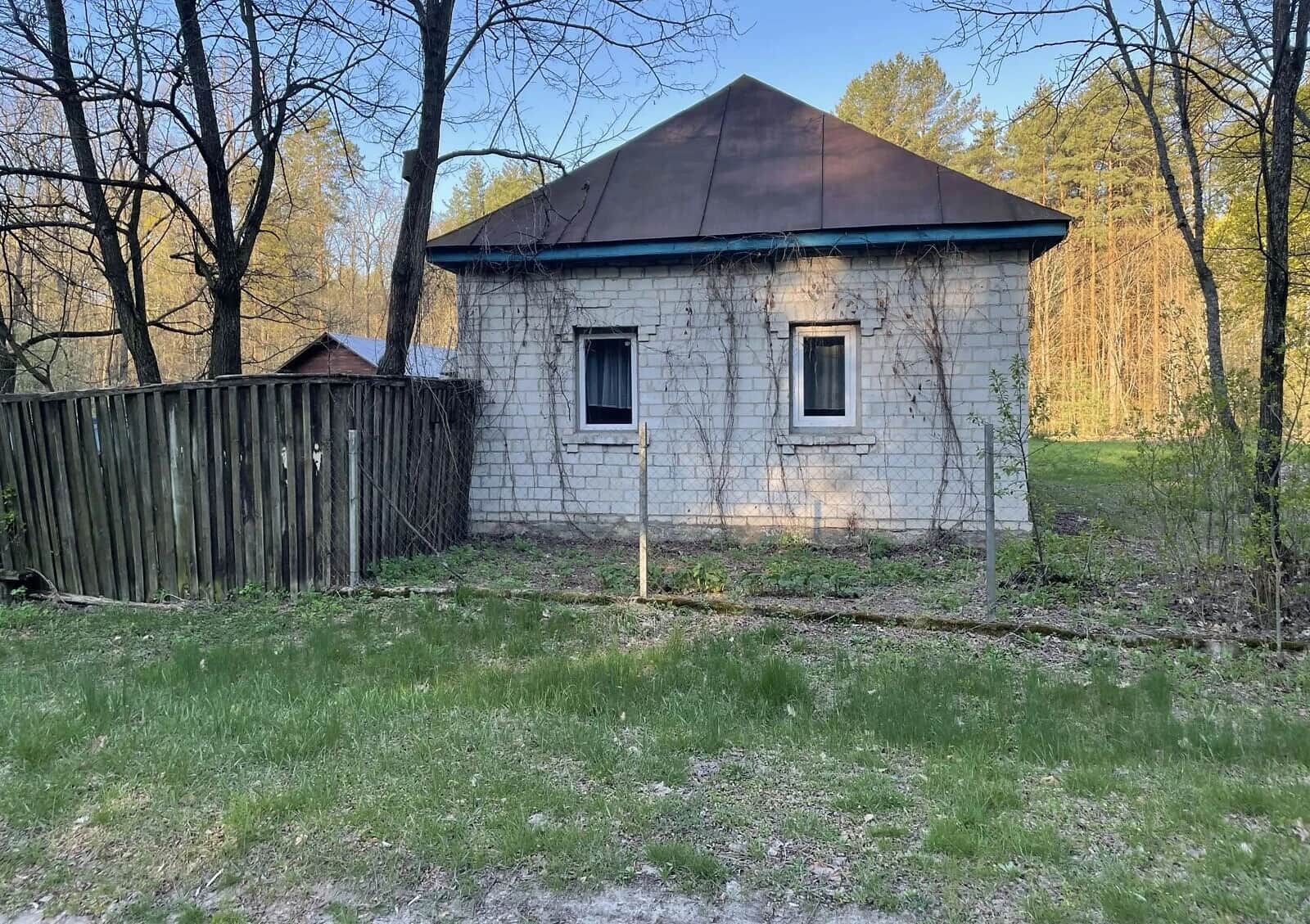 Будинок, Вороніж: 88 соток, опалення, баня / сауна - фото 1