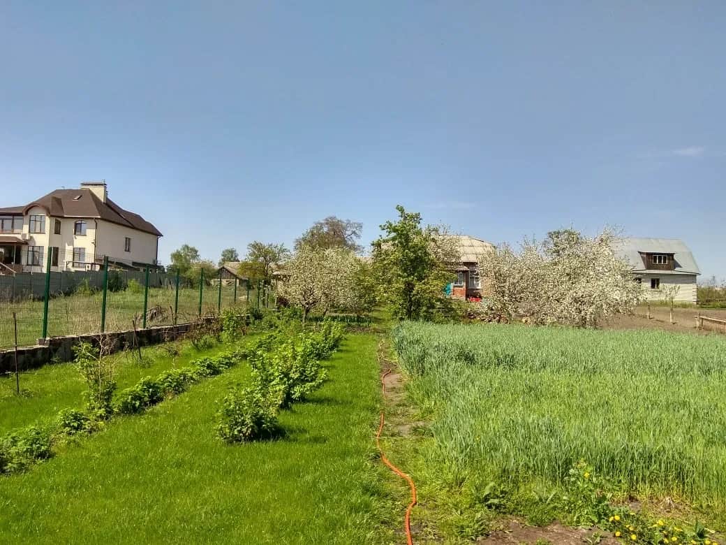 Ділянка 12.20 соток, Новосілки: вихід на луг, річка Десна поруч - фото 1