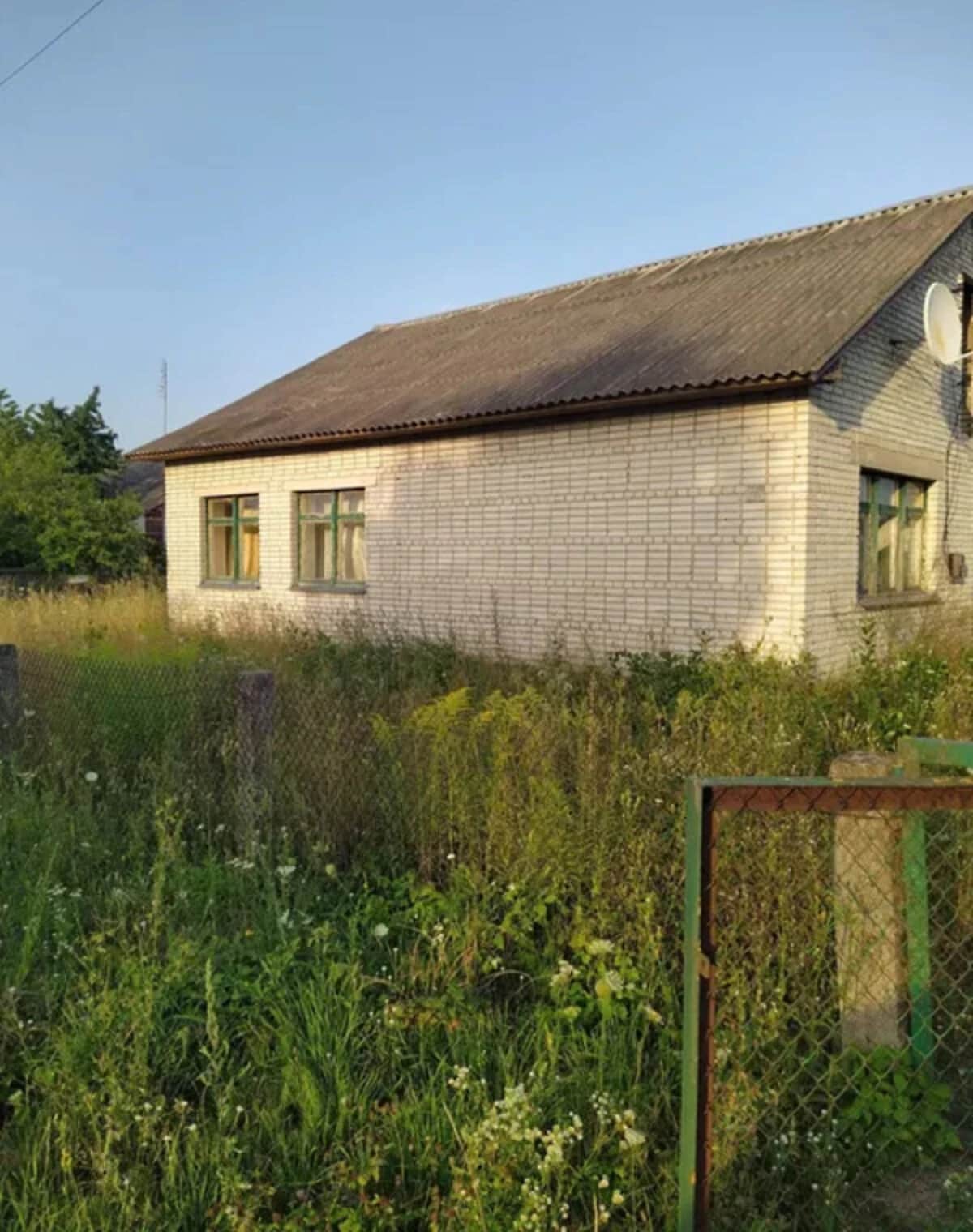 Будинок, Морозівка (Брусилів): 60 соток, цегляні стіни - фото 1