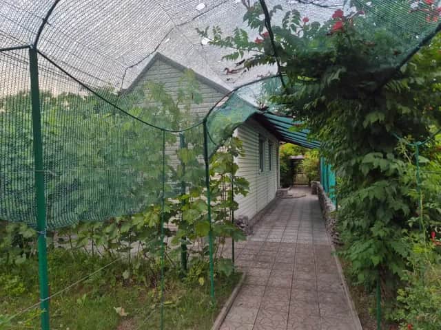 Дача, Амур-Нижньодніпровський: 12 соток, басейн, сад 100 дерев - фото 1
