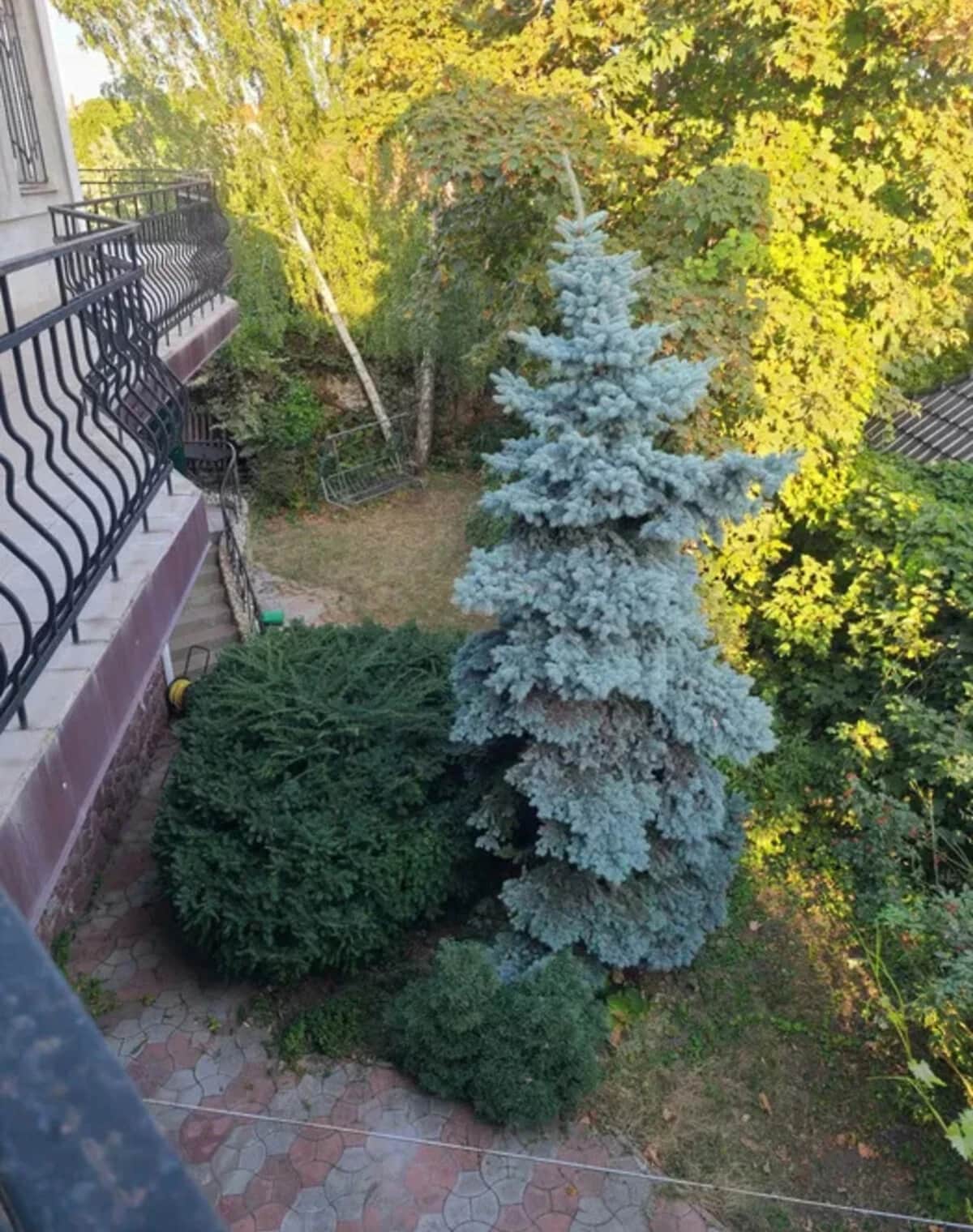 Будинок, Велика Садова: гараж, бесідка, 4 сотки - фото 2