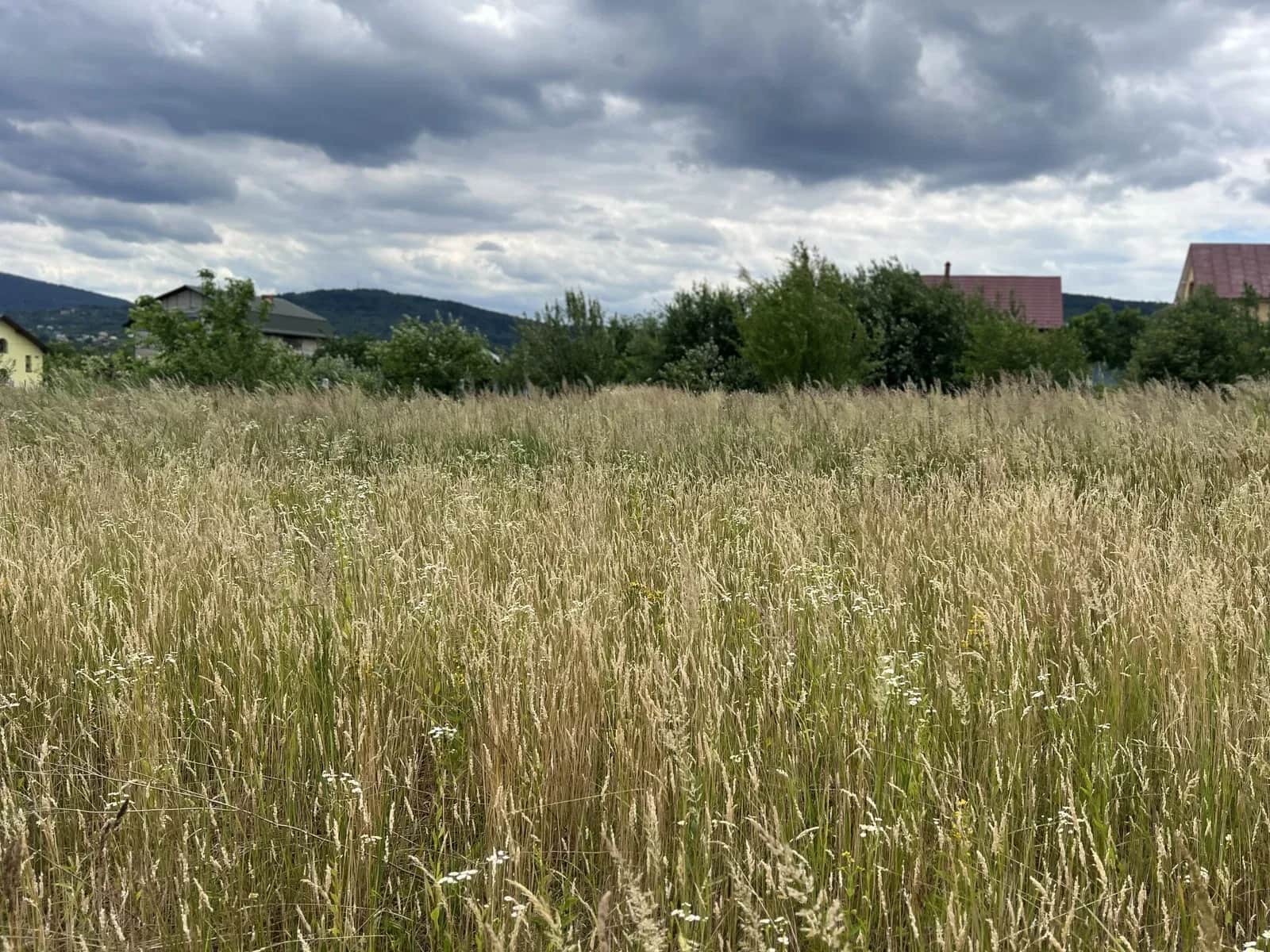 Ділянка 12 соток, Попелі: житлова забудова, газ і світло поруч - фото 1