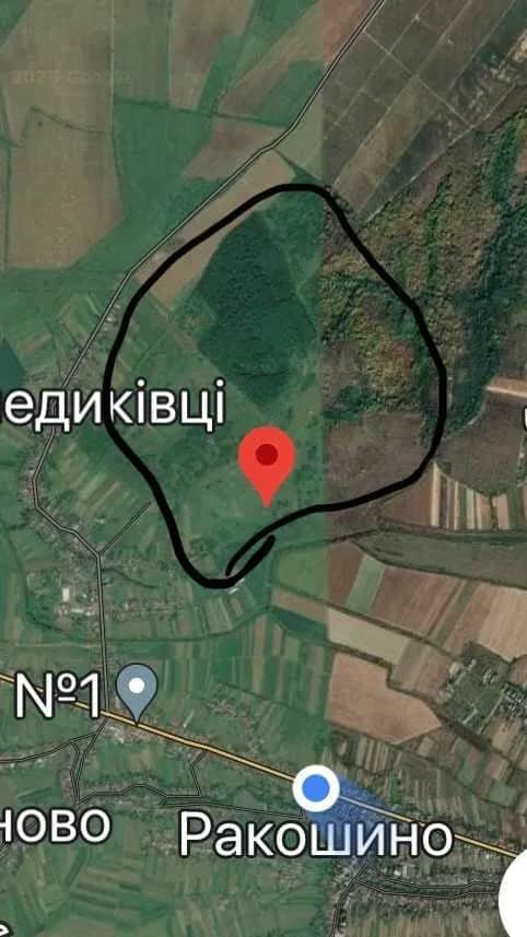 Ділянка 1 000 соток, Бенедиківці: винний підвал, пагорби й річка - фото 1