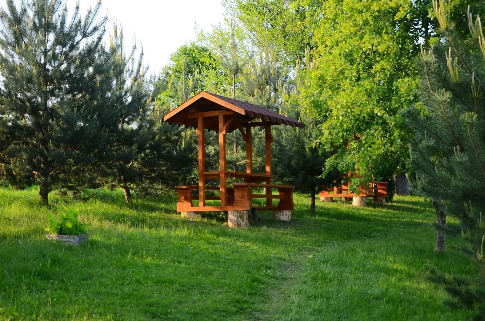Ділянка 500 соток, біля Трускавця: 500 м від траси, зариблені озера - фото 2