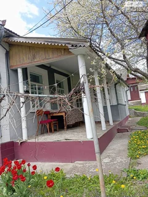 Будинок, Смотрич (Дунаєвці): веранда, літня кухня, сад - фото 2