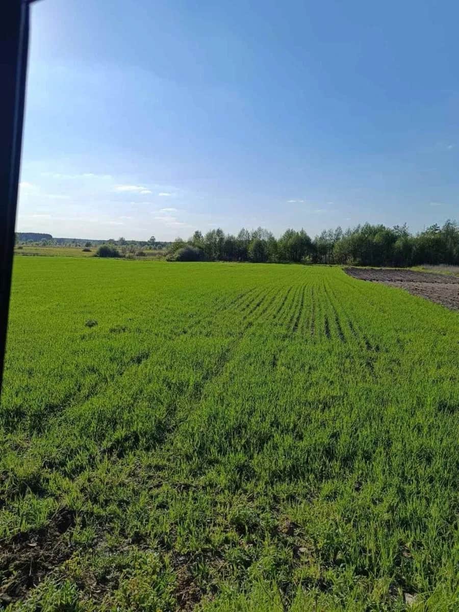 Ділянка 0.21 соток, Ольшаниця: ліс, річка Гороховатка - фото 1