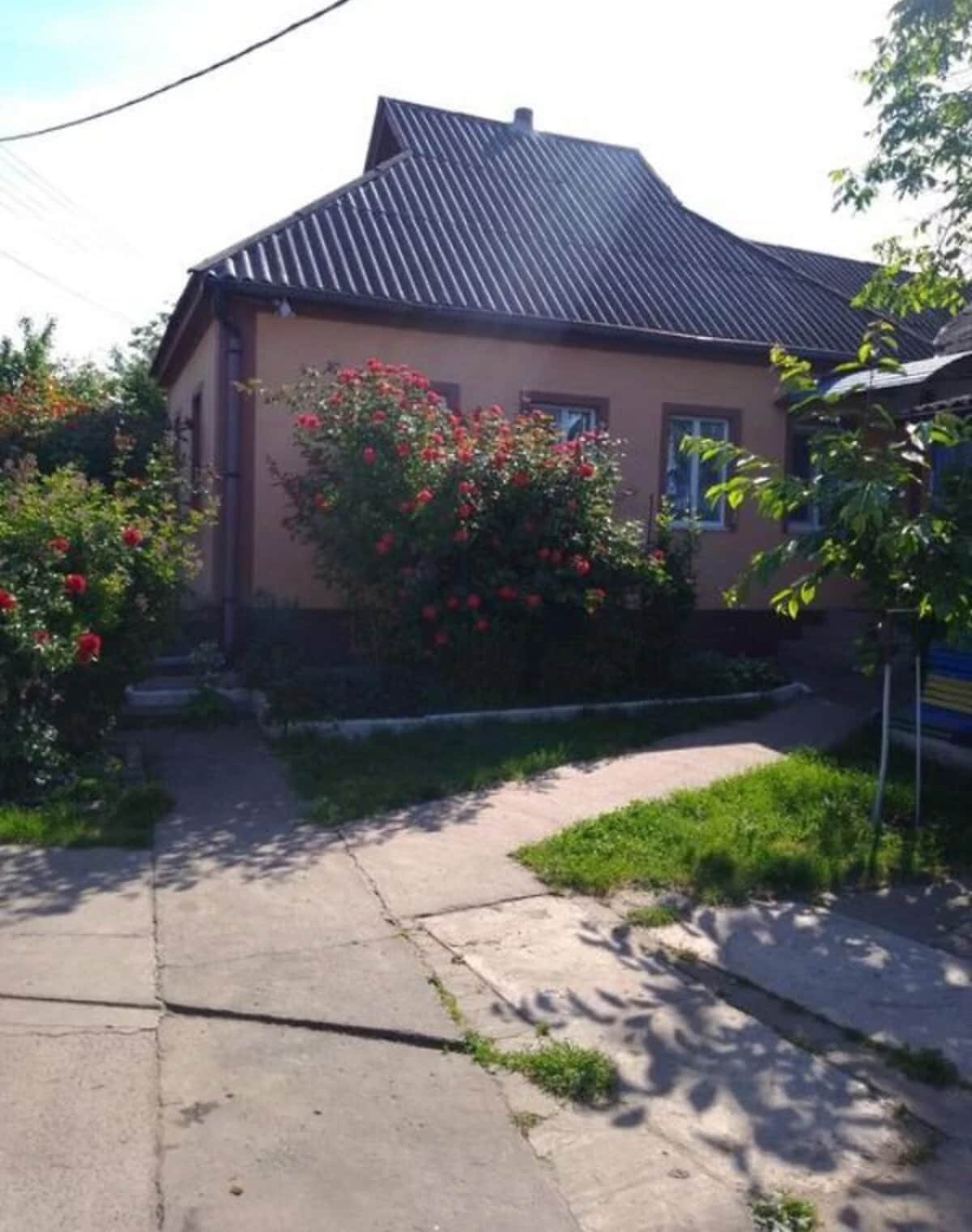 Будинок, Велика Яблунівка: гараж, бесідка, 33 сотки - фото 1