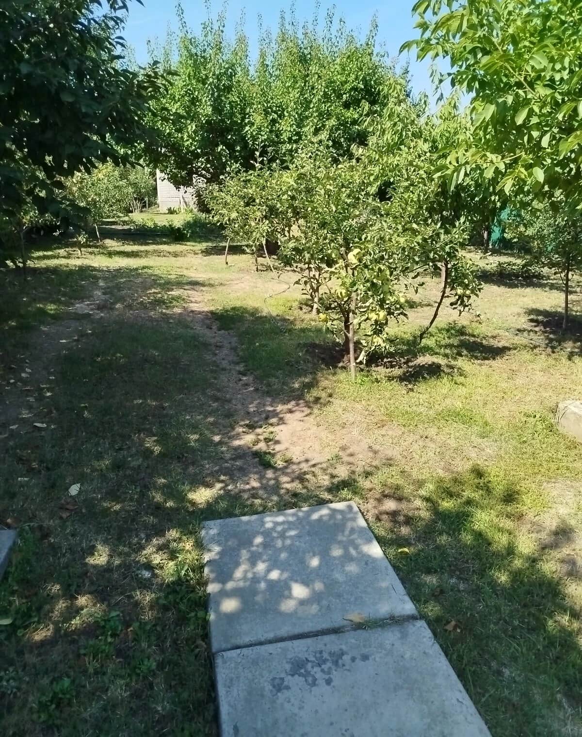 Ділянка 4 сотки, Самарівка: під житлову забудову, фундамент, чорнозем - фото 2