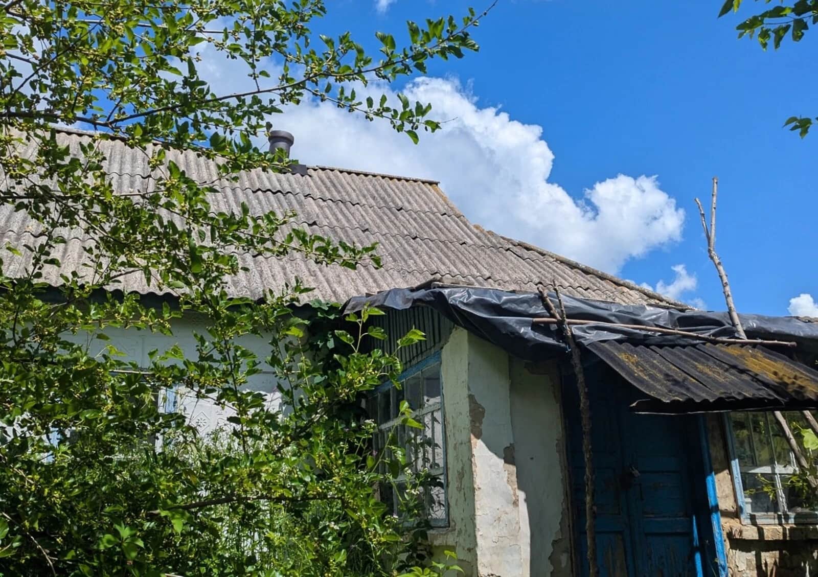 Ділянка 37 соток, Зеленьки: житлова забудова, природне озеро, під гараж - фото 2