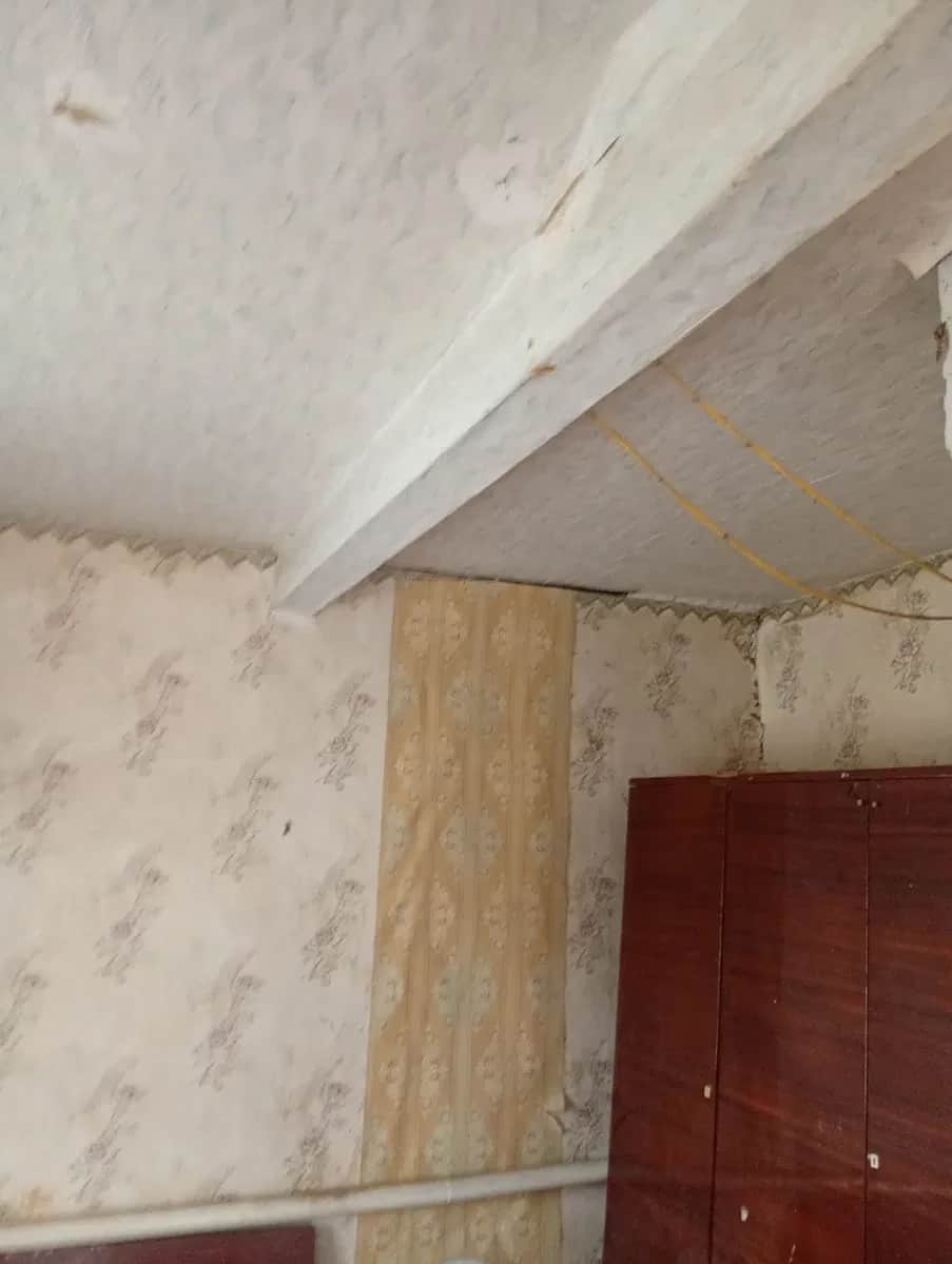 Будинок, Тростинська Новоселиця: 70 соток, газове опалення, сад і город - фото 1