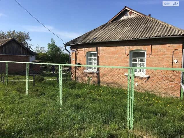 Будинок, Борсуки: 40 соток, господарські будівлі, твердопаливний котел - фото 2