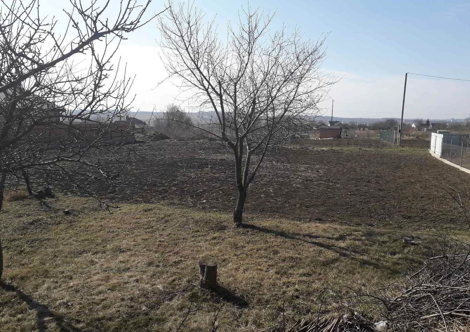 Ділянка 9 соток, Книжківці: електрика та газ, сад і город - фото 2