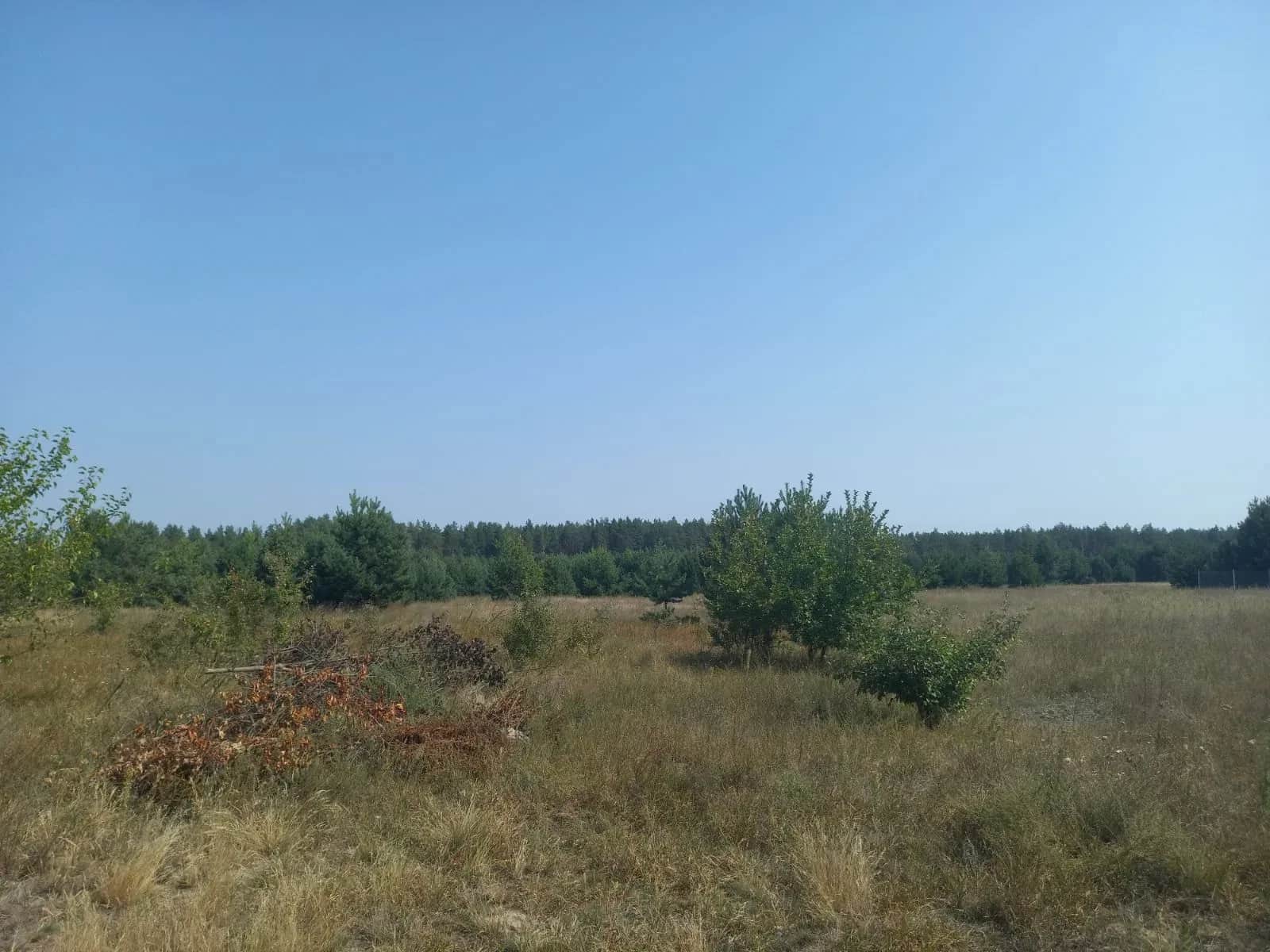 Ділянка 20 соток, Абрамівка: поруч ліс, електрика - фото 1